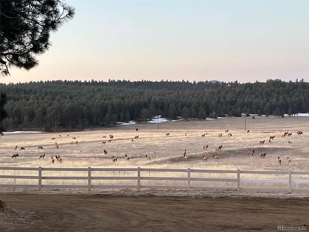 24030 County Road 43.6 Aguilar CO 81020