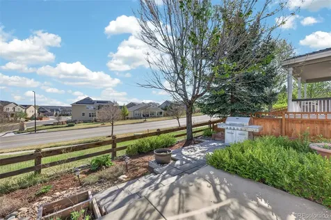2943 Black Canyon Way Castle Rock CO 80109