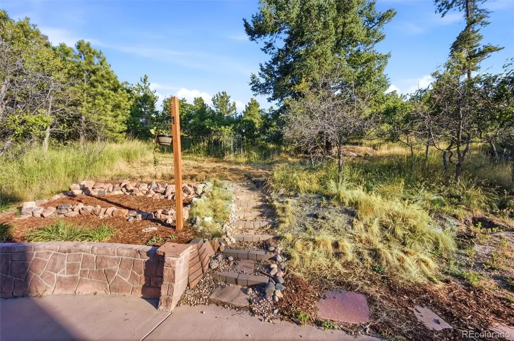 1005 Woodmoor Drive Monument CO 80132