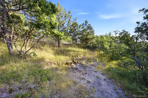 1005 Woodmoor Drive Monument CO 80132