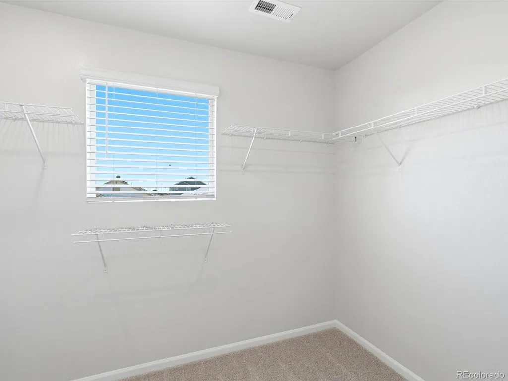 4621 Sunsplash Way Johnstown CO 80534