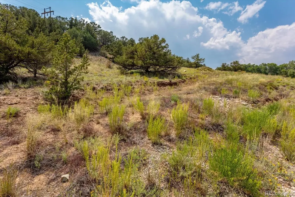 7921 Cozart Lane Salida CO 81201