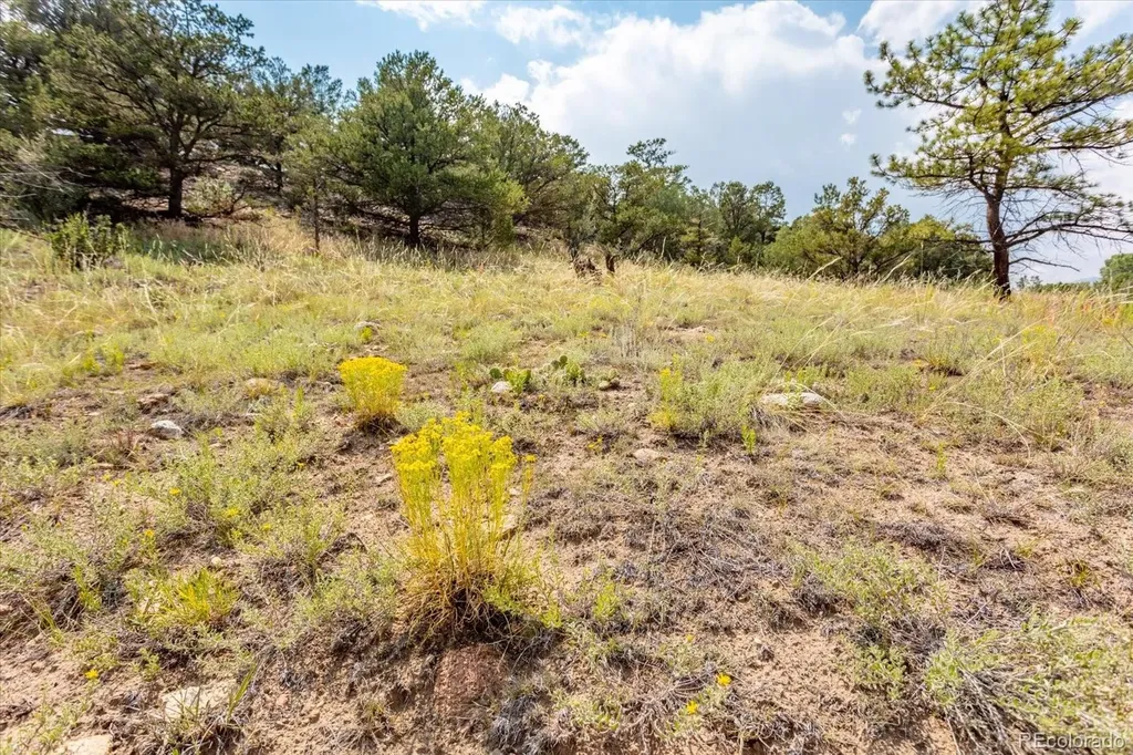 7921 Cozart Lane Salida CO 81201
