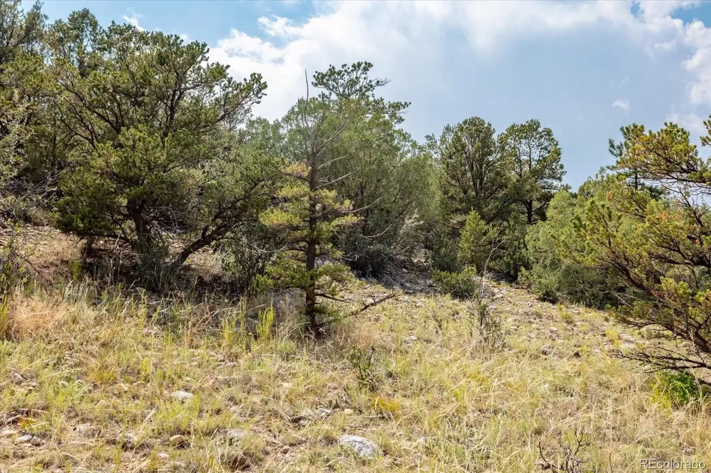 7921 Cozart Lane Salida CO 81201