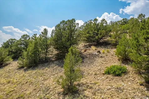 7921 Cozart Lane Salida CO 81201