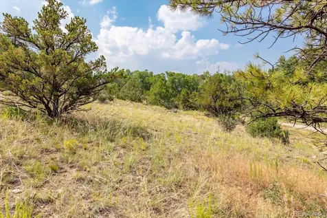 7921 Cozart Lane Salida CO 81201