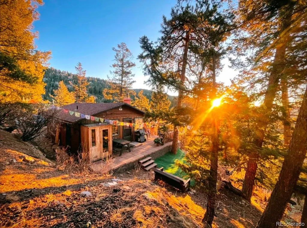 31327 Kings Valley W Conifer CO 80433