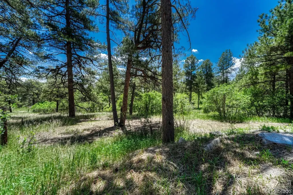 9306 S Curtis Road Larkspur CO 80118