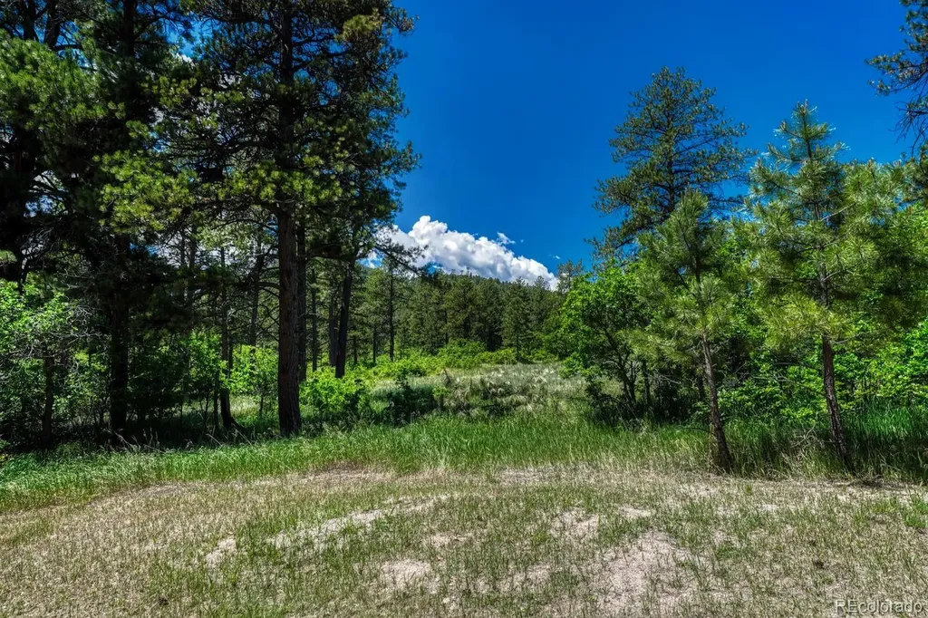 9306 S Curtis Road Larkspur CO 80118