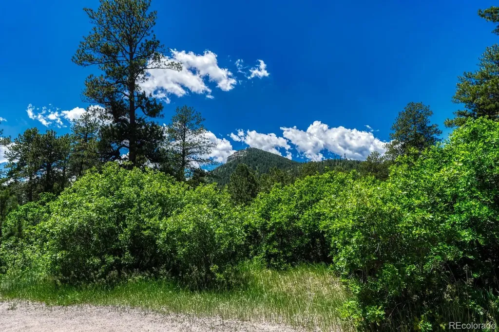 9306 S Curtis Road Larkspur CO 80118