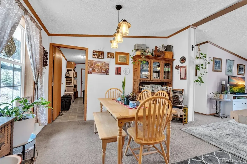 44 Silver Trail Florissant CO 80816