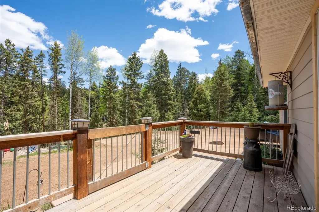 44 Silver Trail Florissant CO 80816