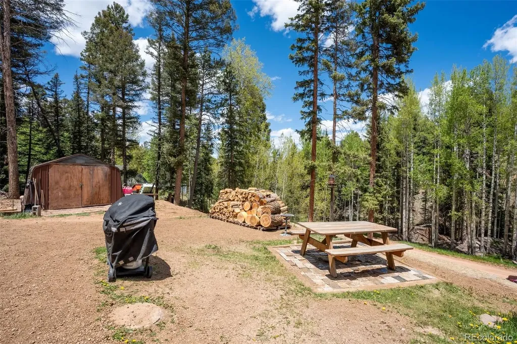 44 Silver Trail Florissant CO 80816