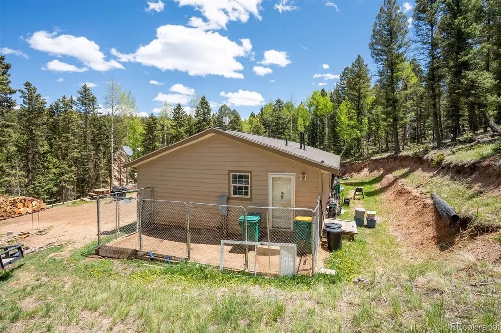 44 Silver Trail Florissant CO 80816