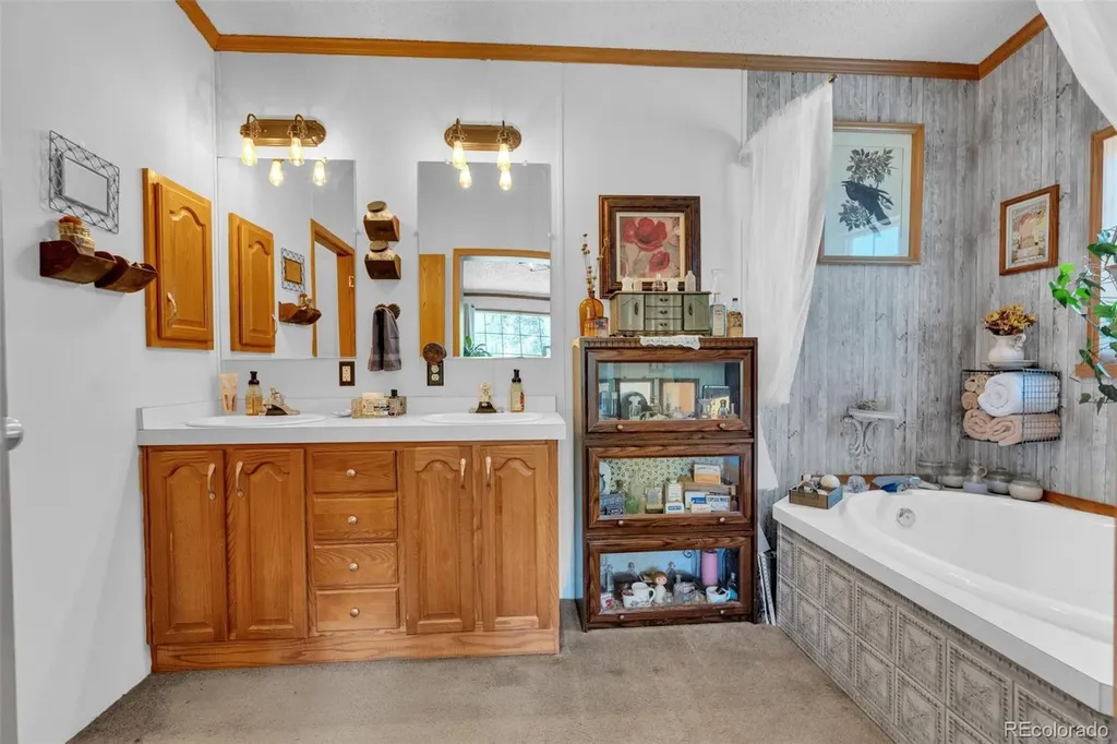 44 Silver Trail Florissant CO 80816