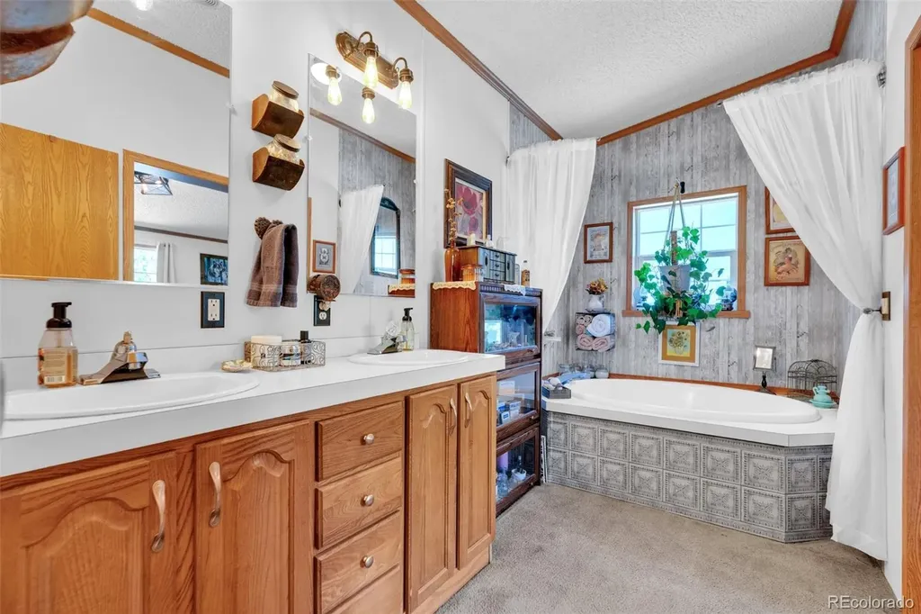 44 Silver Trail Florissant CO 80816