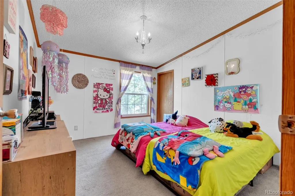 44 Silver Trail Florissant CO 80816
