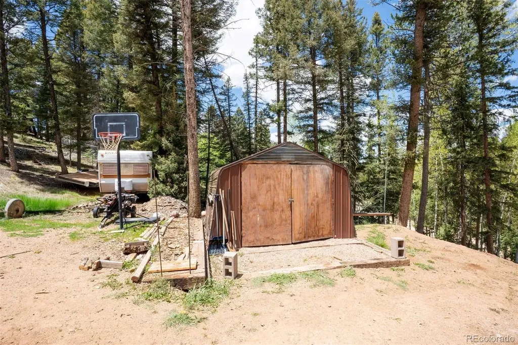 44 Silver Trail Florissant CO 80816