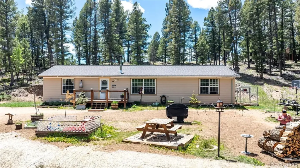 44 Silver Trail Florissant CO 80816