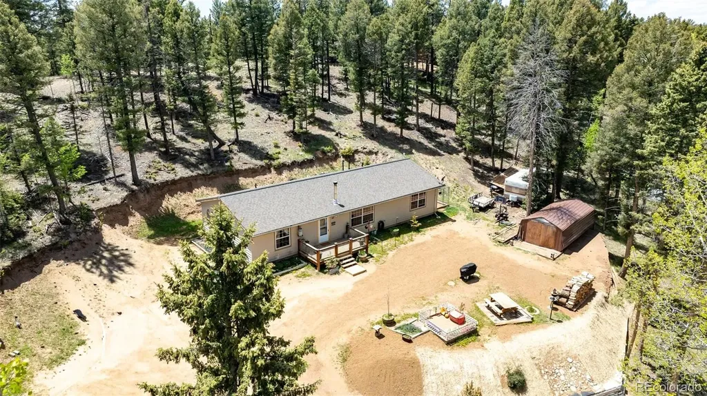 44 Silver Trail Florissant CO 80816