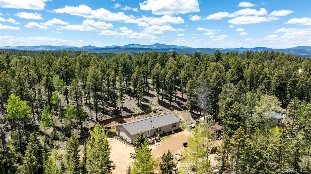 44 Silver Trail Florissant CO 80816