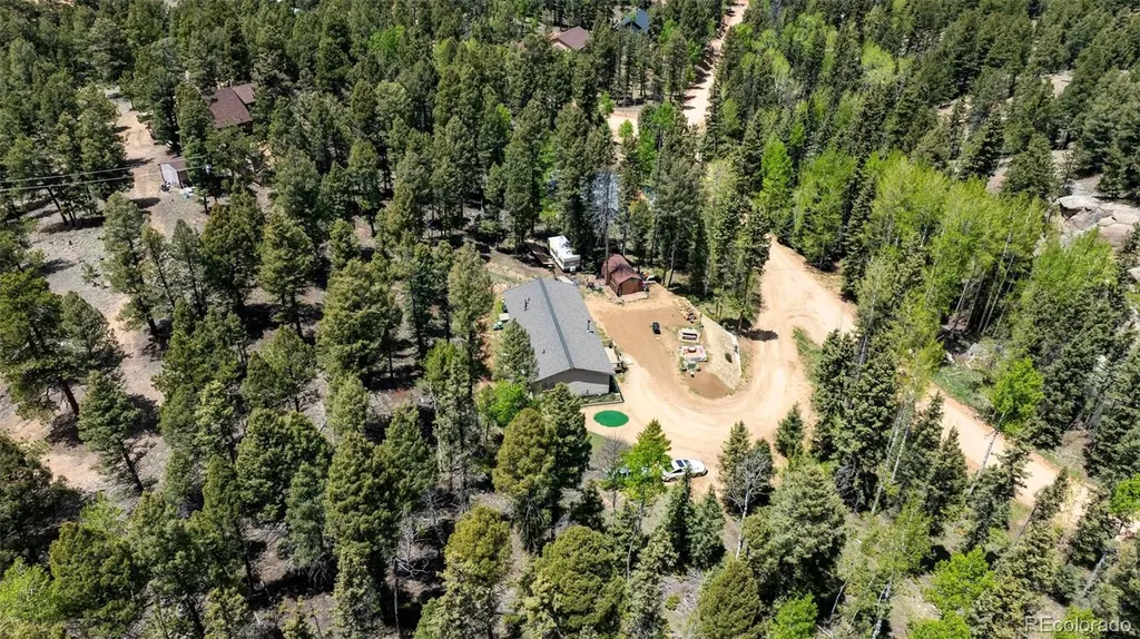 44 Silver Trail Florissant CO 80816
