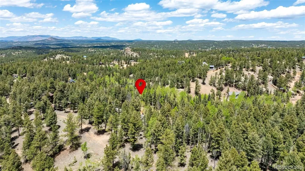 44 Silver Trail Florissant CO 80816