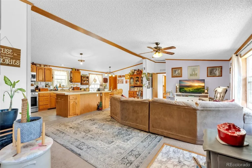 44 Silver Trail Florissant CO 80816