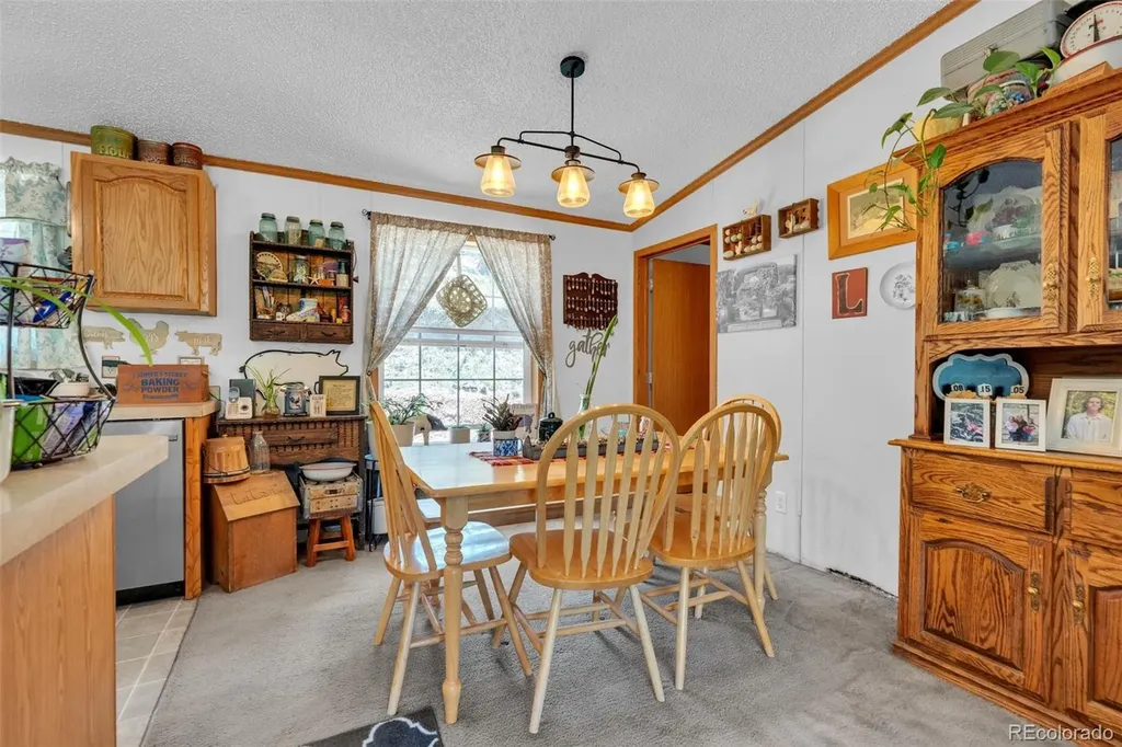 44 Silver Trail Florissant CO 80816