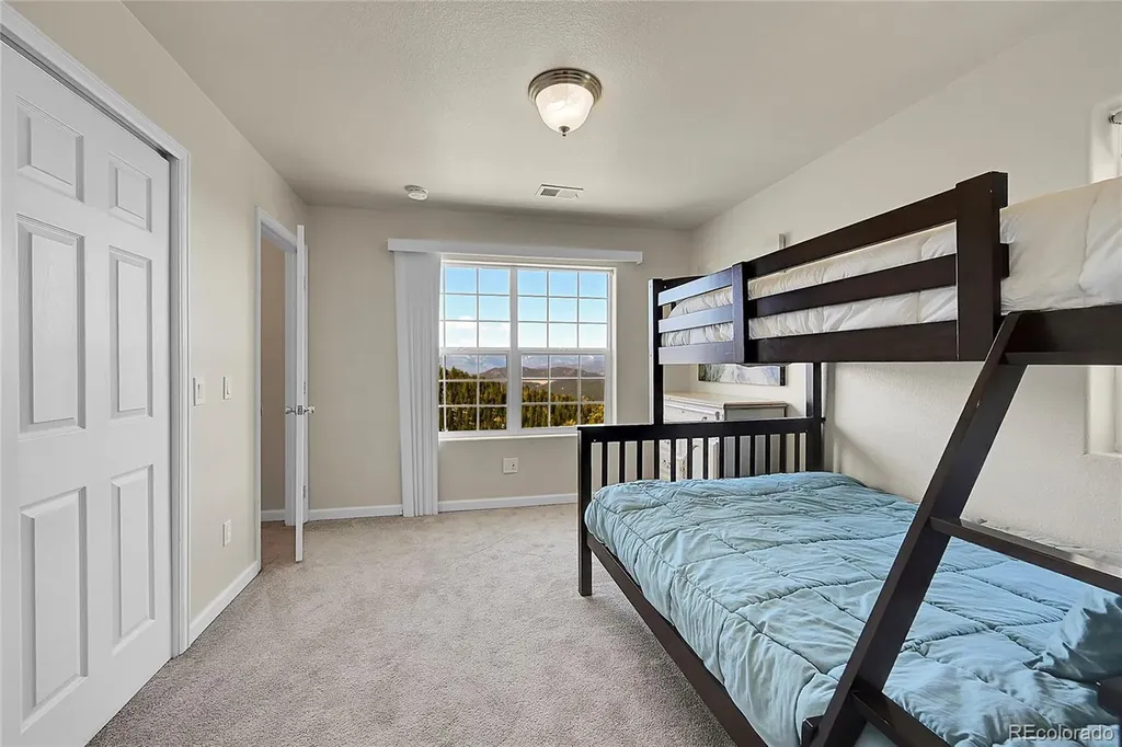 11770 Leavenworth Drive Conifer CO 80433
