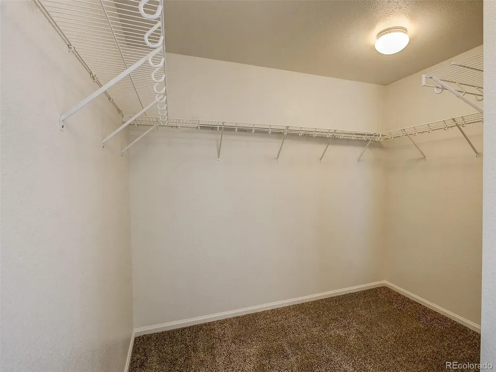 6089 Turnstone Place Castle Rock CO 80104