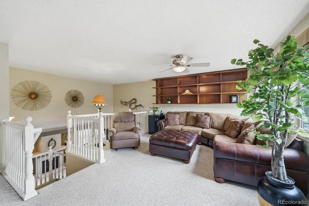 4875 E 117th Drive Thornton CO 80233