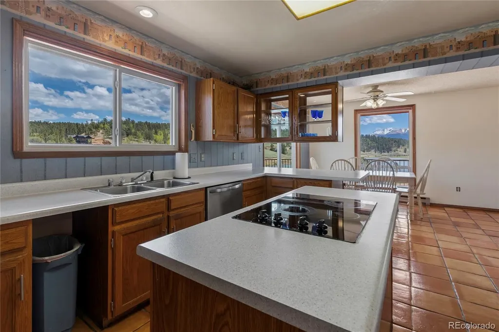 1506 Lake Place Divide CO 80814