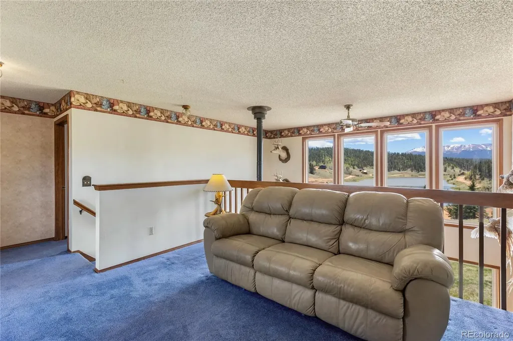 1506 Lake Place Divide CO 80814