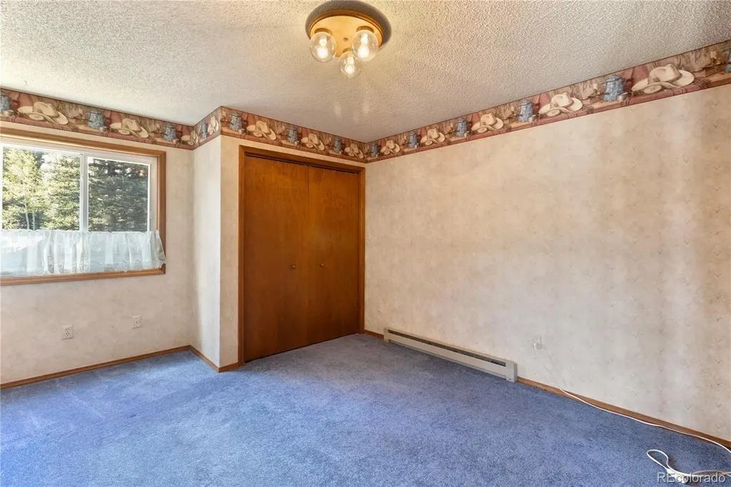 1506 Lake Place Divide CO 80814
