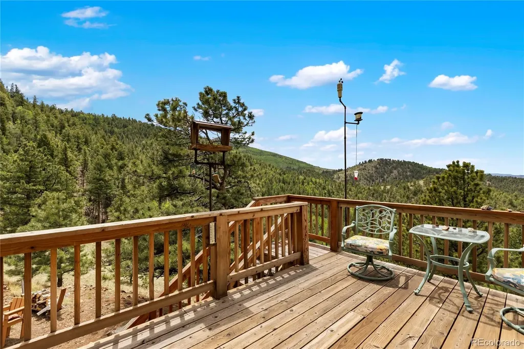 3043 County Road 1 Cripple Creek CO 80813