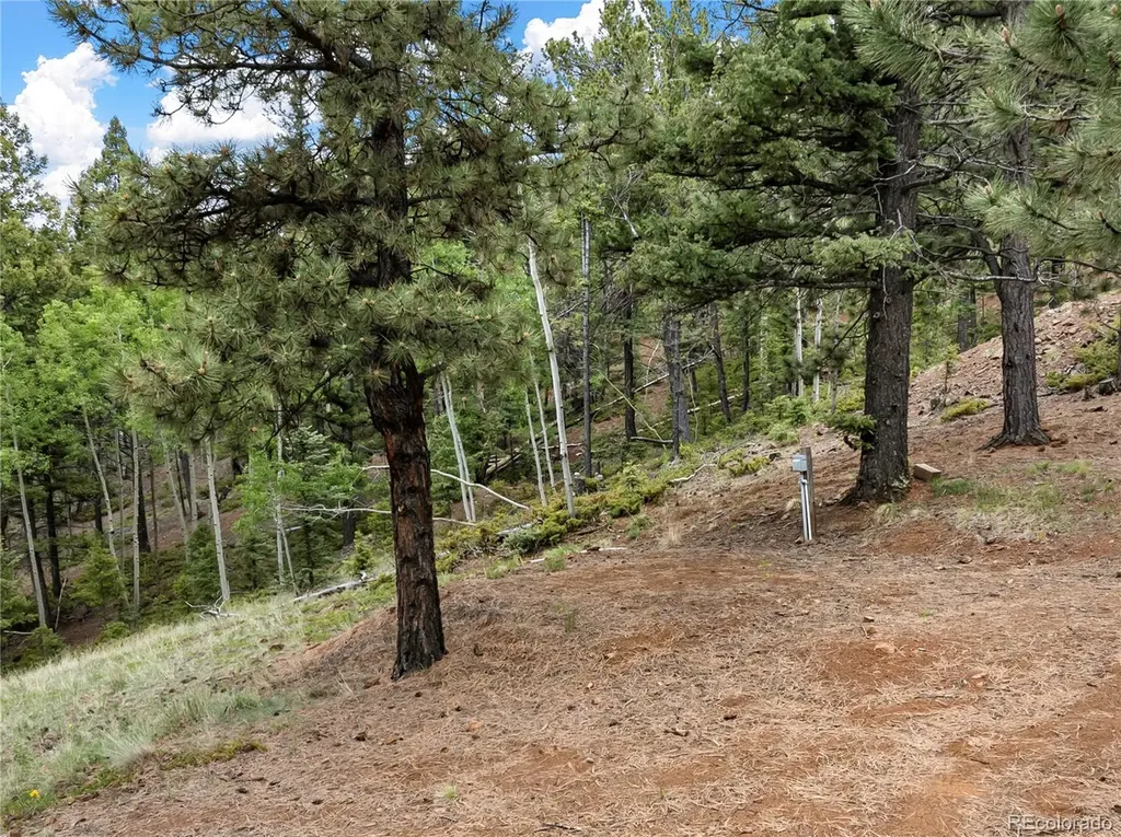 3043 County Road 1 Cripple Creek CO 80813