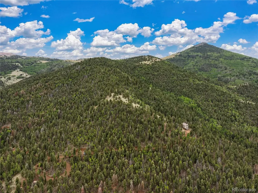 3043 County Road 1 Cripple Creek CO 80813