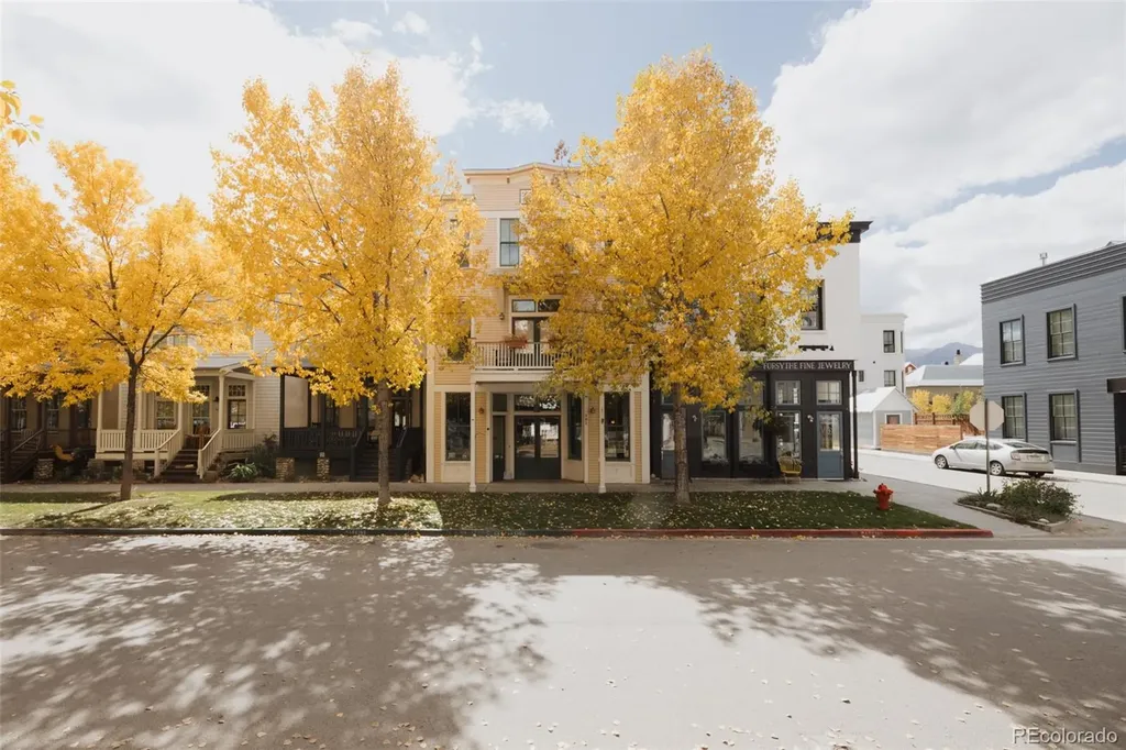 902 S Main Street Buena Vista CO 81211