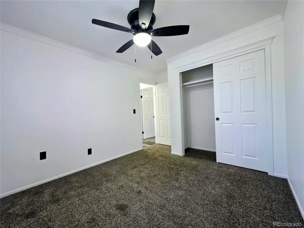 334 Wooster Avenue Firestone CO 80520