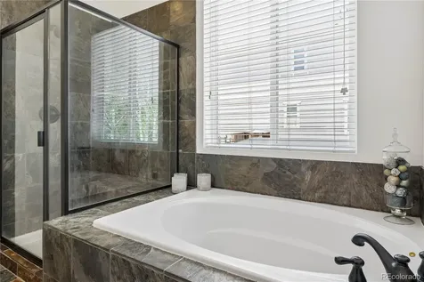 784 Ellsworth Court Castle Rock CO 80104