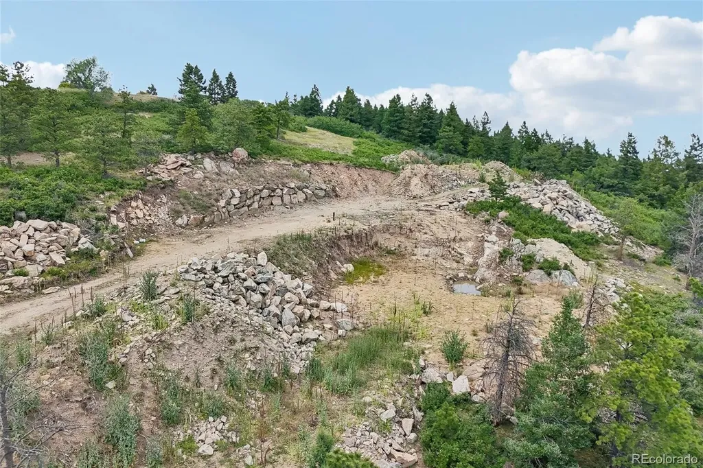 11917 Flat Top Trail Littleton CO 80127