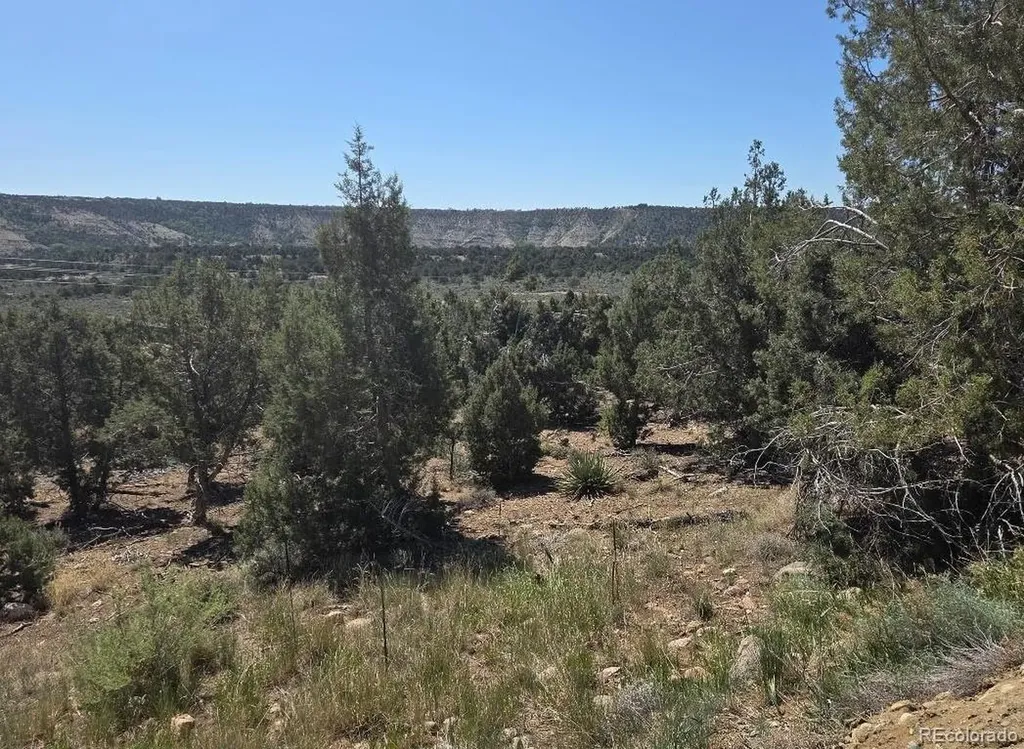 65 Air Park Drive Durango CO 81303