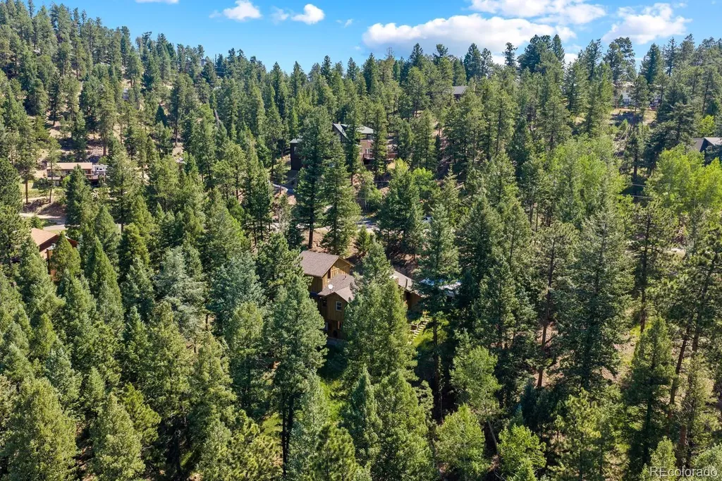 32638 Little Cub Road Evergreen CO 80439