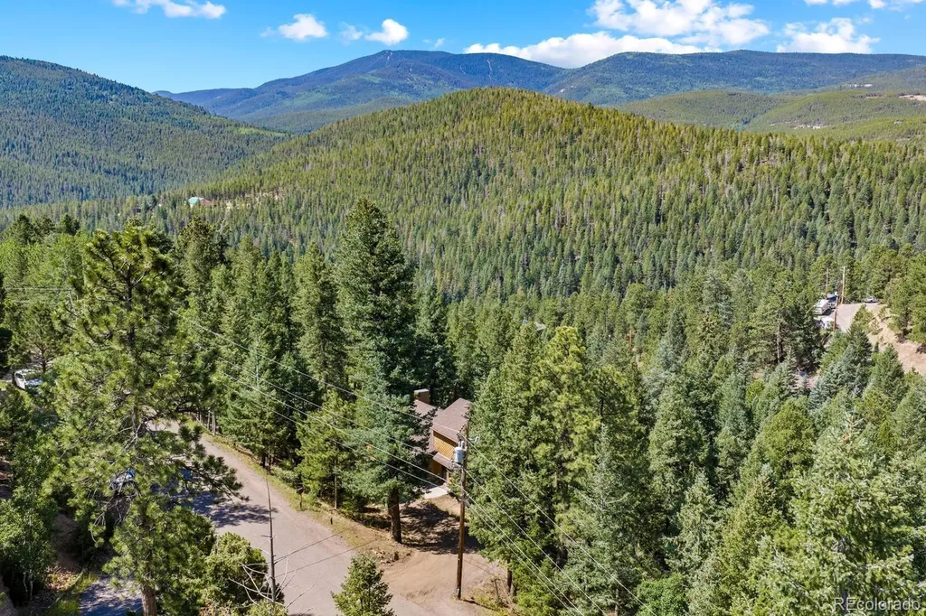 32638 Little Cub Road Evergreen CO 80439