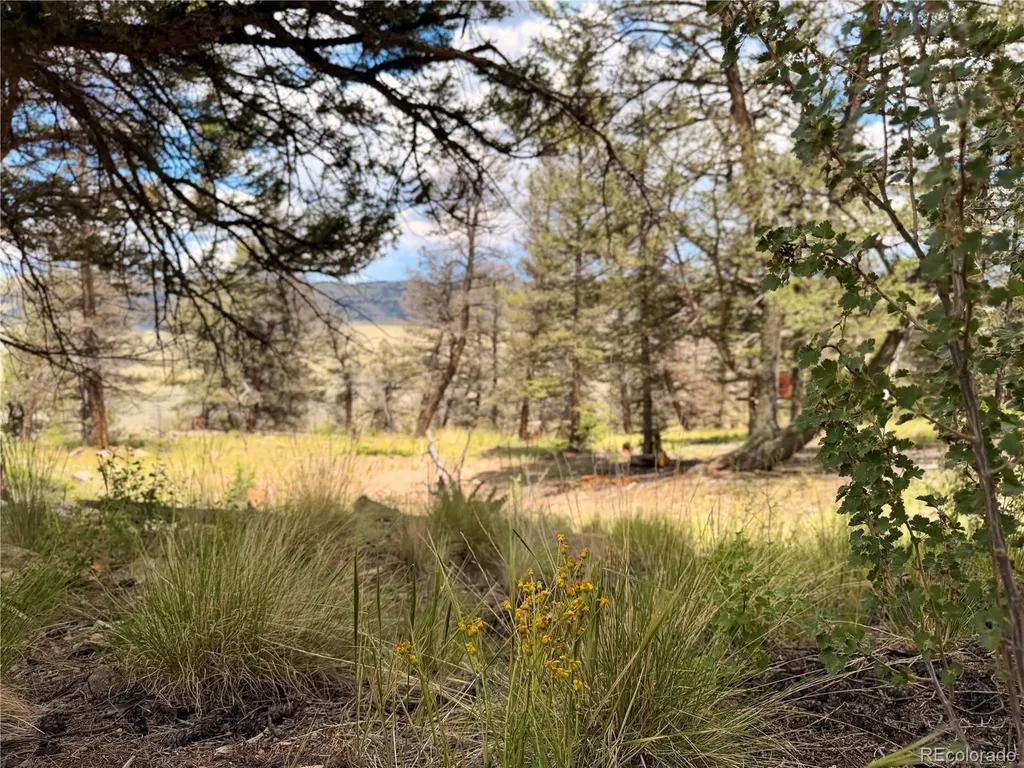 1348 Middle Fork Vista Fairplay CO 80440