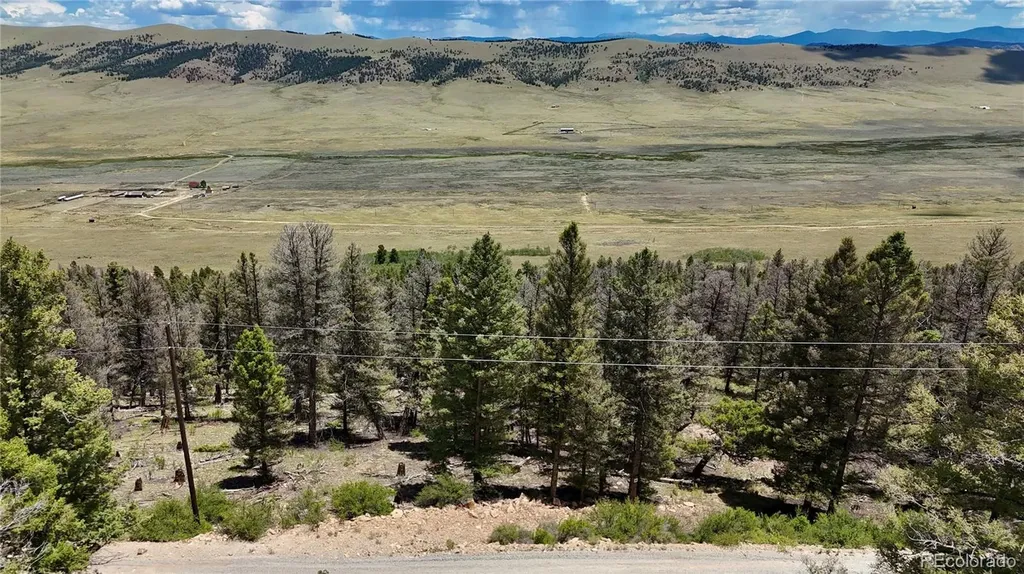 1348 Middle Fork Vista Fairplay CO 80440