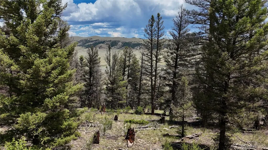 1348 Middle Fork Vista Fairplay CO 80440