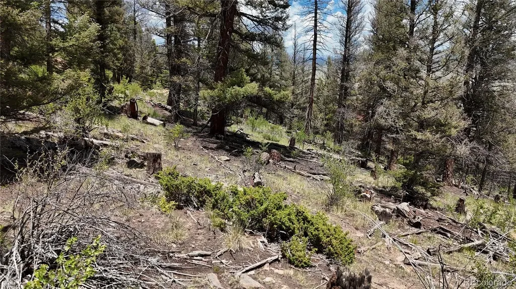 1348 Middle Fork Vista Fairplay CO 80440