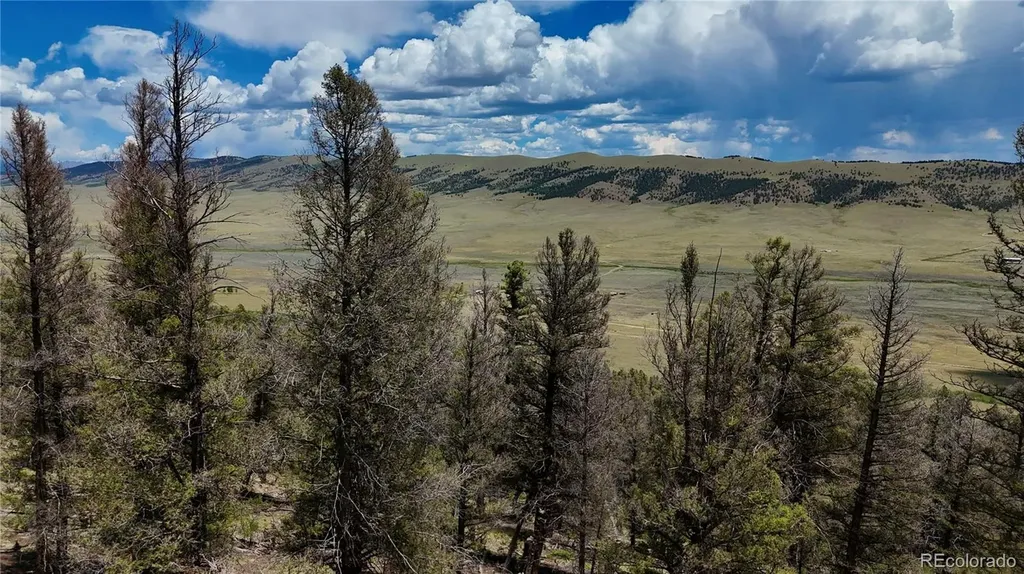 1348 Middle Fork Vista Fairplay CO 80440